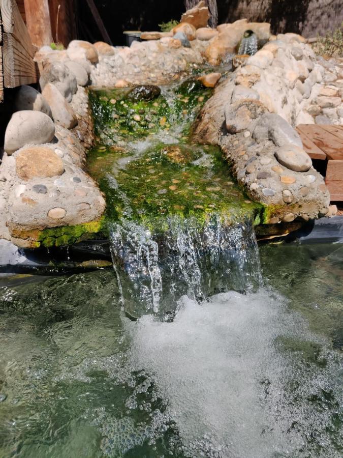 Ferienwohnung L'Etang Des Cigales Uchaux Exterior foto
