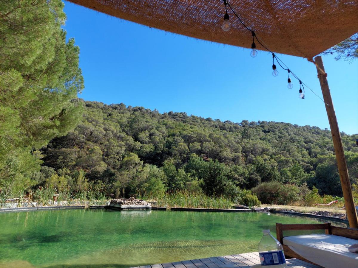 Ferienwohnung L'Etang Des Cigales Uchaux Exterior foto